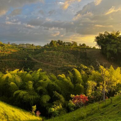 Reverie Restaurant View